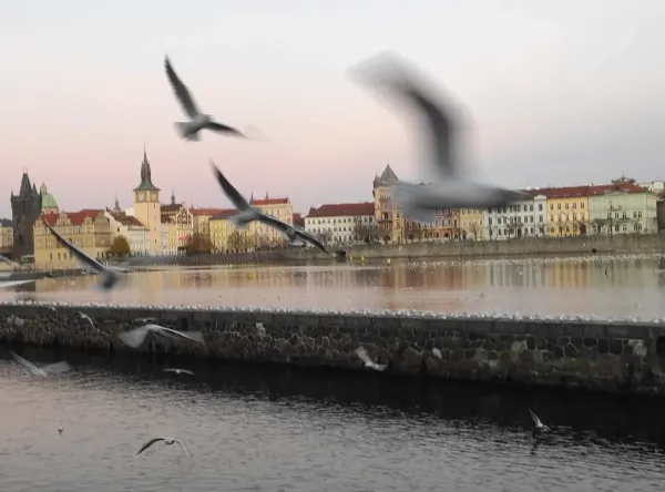 Praga w cieniu legend - duchy, zjawy i niezwykłe opowieści