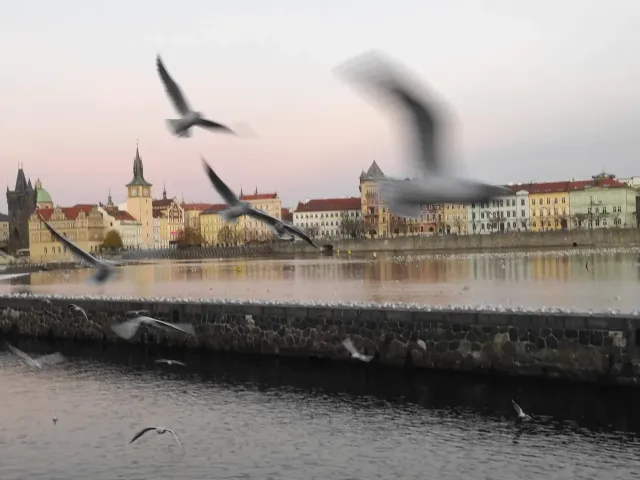 Praga w cieniu legend - duchy, zjawy i niezwykłe opowieści