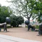 Babies – park Kampa
