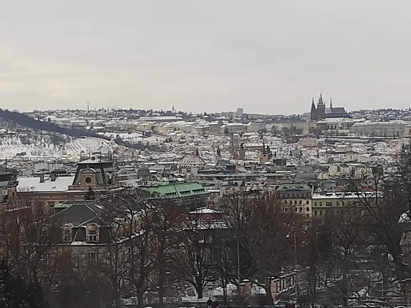 Riegrovy sady