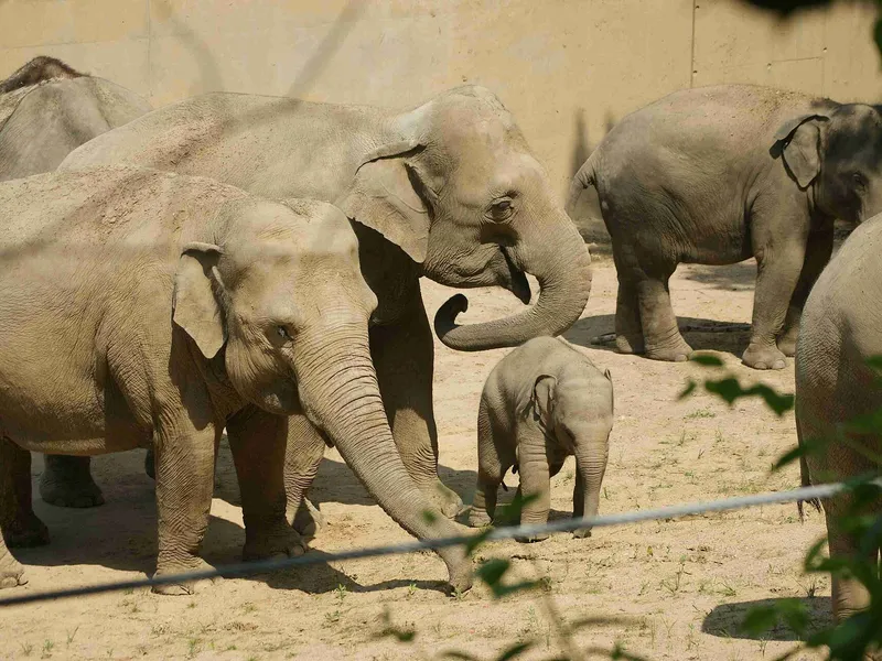Zoo w Pradze w Pradze
