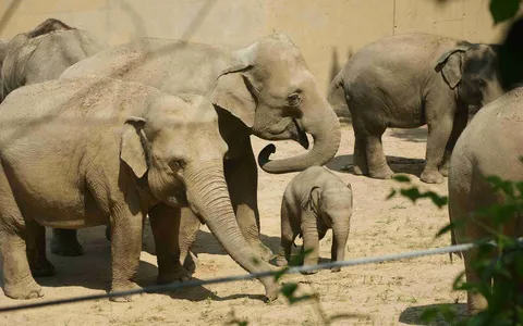 Zoo w Pradze w Pradze